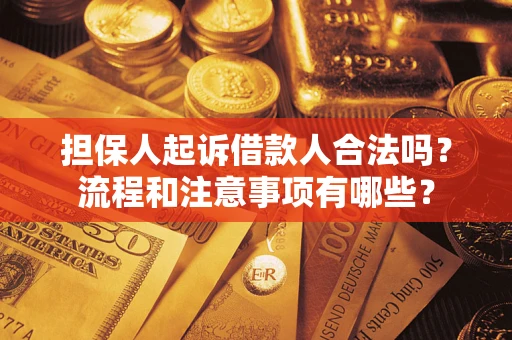 武汉担保人起诉借款人合法吗？流程和注意事项有哪些？
