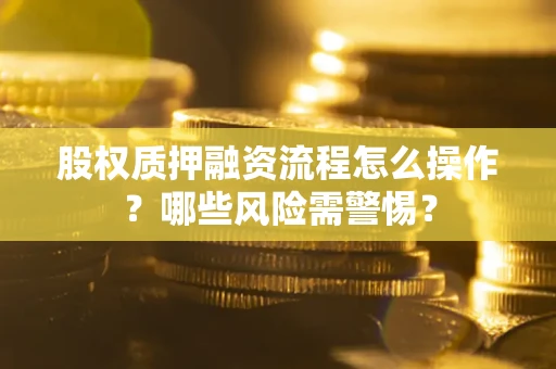 武汉股权质押融资流程怎么操作？哪些风险需警惕？