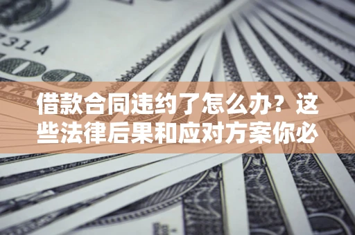 武汉借款合同违约了怎么办？这些法律后果和应对方案你必须知道