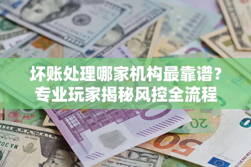 武汉坏账处理哪家机构最靠谱？专业玩家揭秘风控全流程