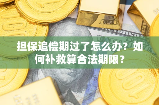 武汉担保追偿期过了怎么办？如何补救算合法期限？
