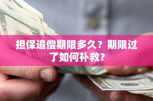 武汉担保追偿期限多久？期限过了如何补救？