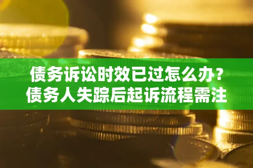 武汉债务诉讼时效已过怎么办？债务人失踪后起诉流程需注意什么？