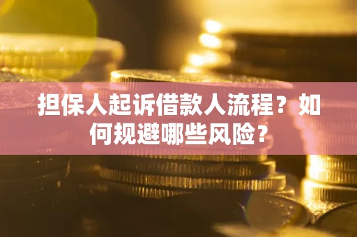 武汉担保人起诉借款人流程？如何规避哪些风险？