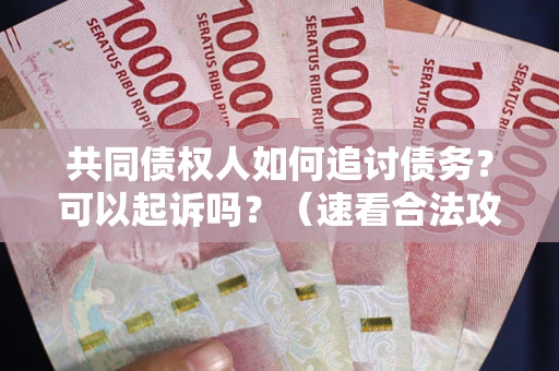 武汉共同债权人如何追讨债务？可以起诉吗？（速看合法攻略）