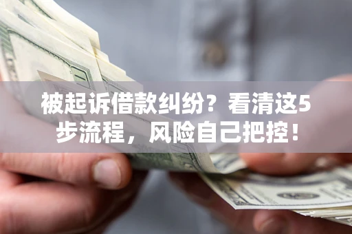 武汉被起诉借款纠纷？看清这5步流程，风险自己把控！