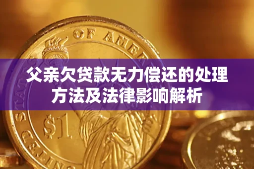 武汉父亲欠贷款无力偿还的处理方法及法律影响解析
