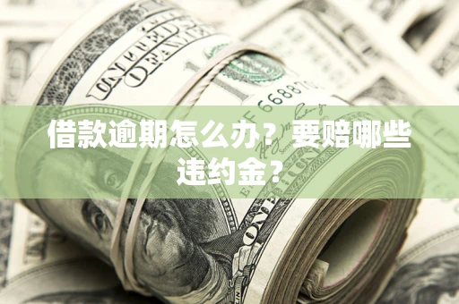 武汉借款逾期怎么办？要赔哪些违约金？