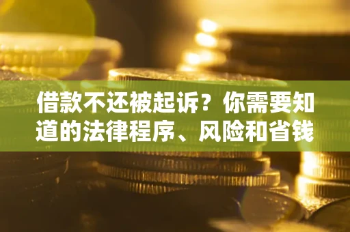 武汉借款不还被起诉？你需要知道的法律程序、风险和省钱技巧