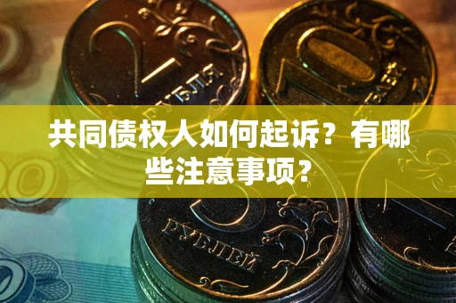 武汉共同债权人如何起诉？有哪些注意事项？